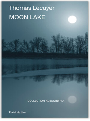 cover image of Moon Lake